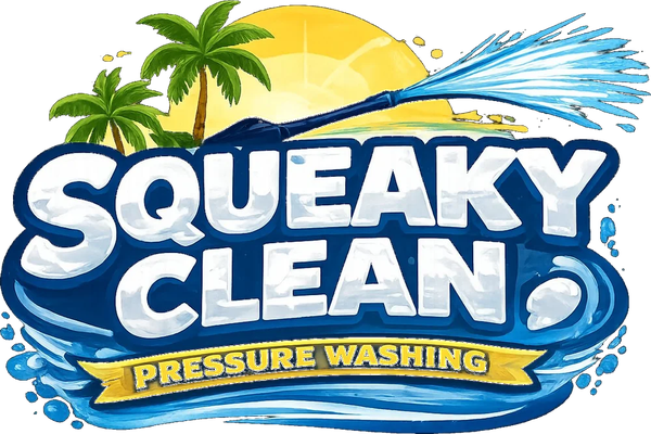 Squeaky Clean Pressure Washing